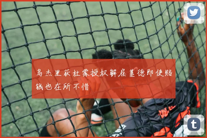乌杰里获杜蒙授权解雇基德即使赔钱也在所不惜